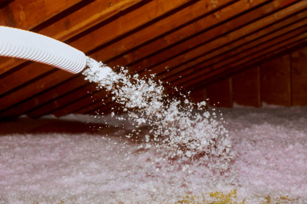 Best Insulation Inspection Services  in Gibsonia, PA